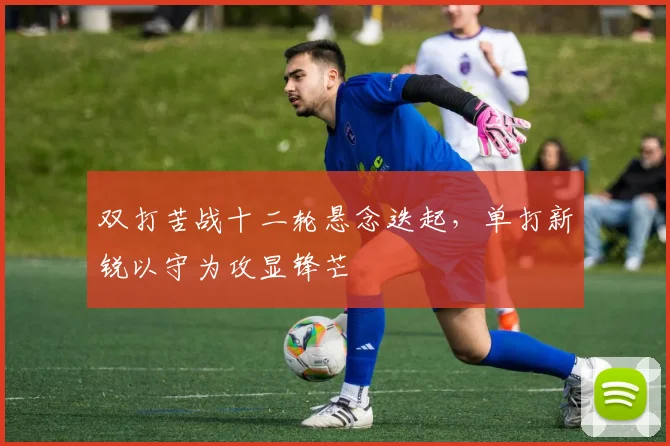 双打苦战十二轮悬念迭起，单打新锐以守为攻显锋芒