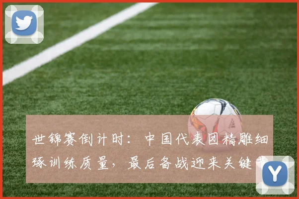世锦赛倒计时：中国代表团精雕细琢训练质量，最后备战迎来关键节点